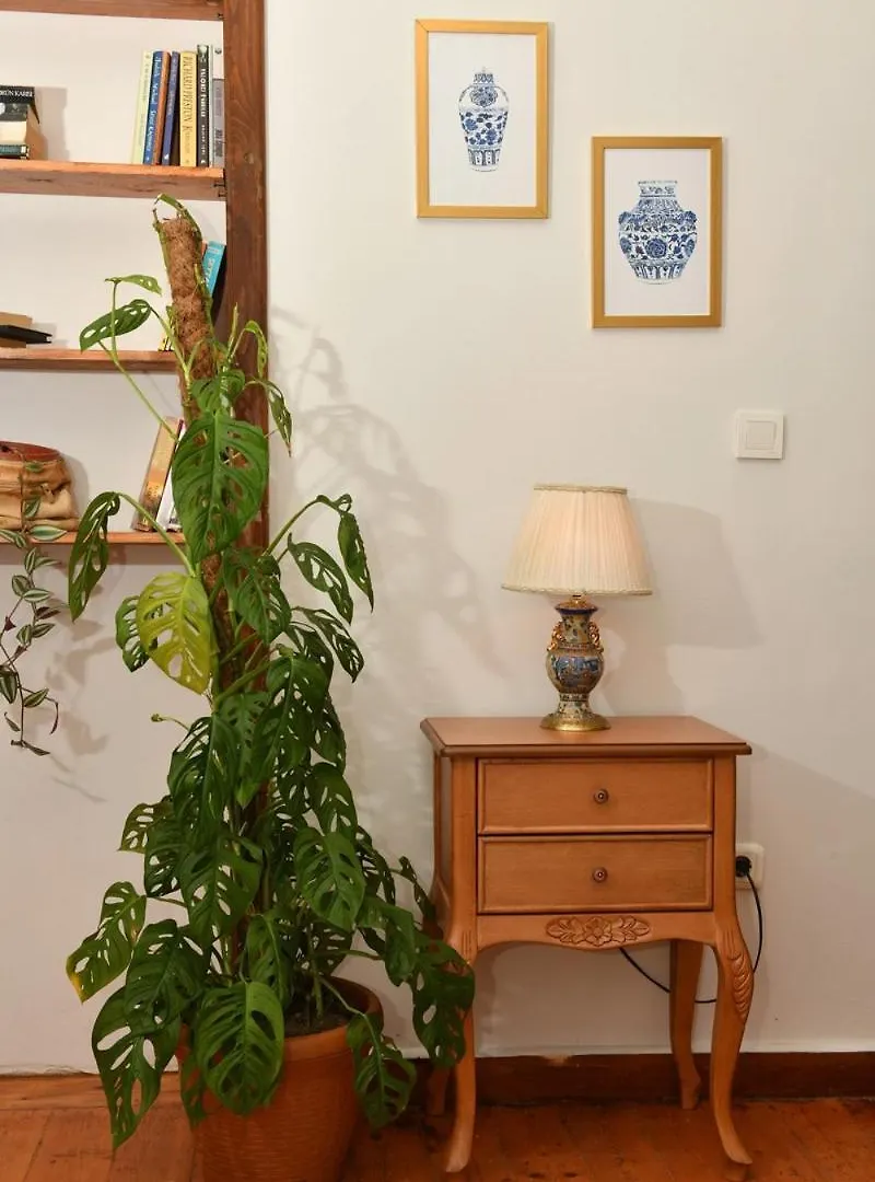 公寓 Historical Levantine Flat @Heart Of Taksim 伊斯坦布尔