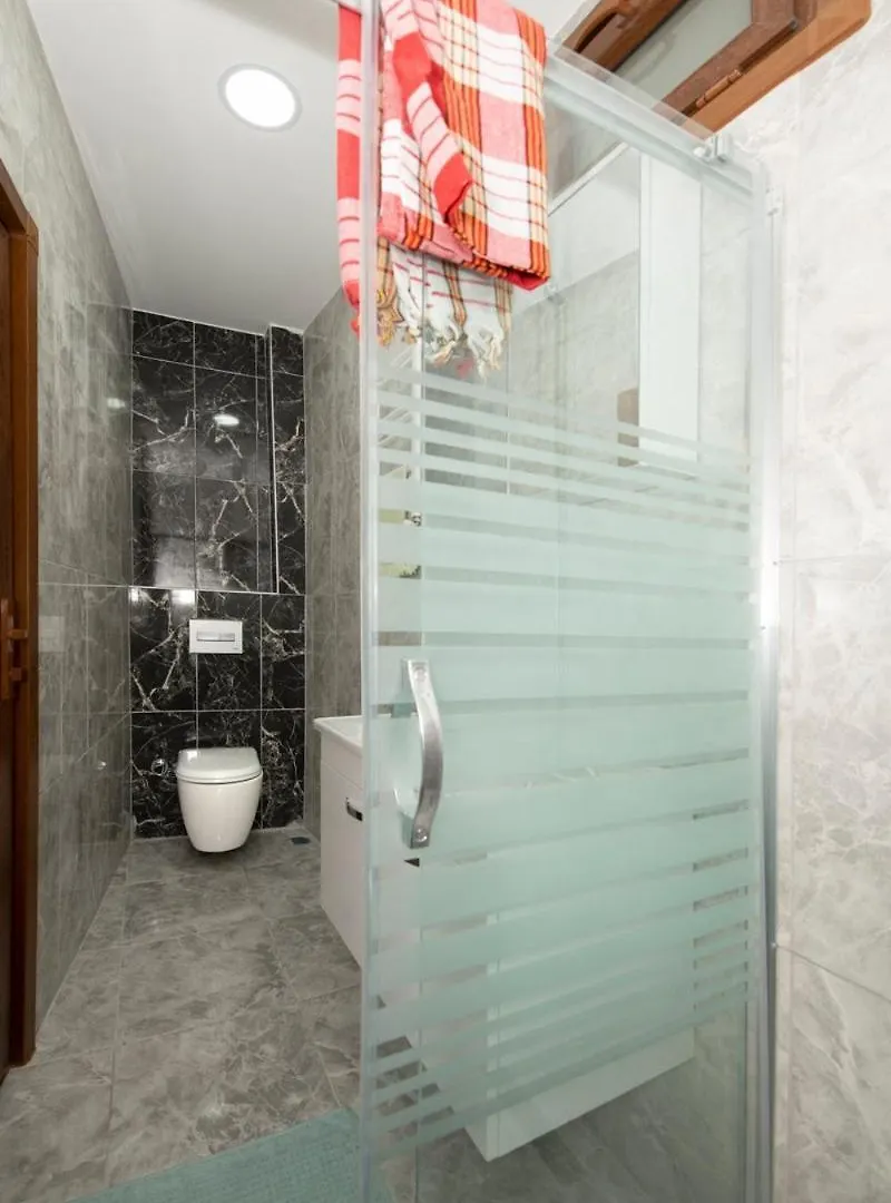 Apartment Historical Levantine Flat @Heart Of Taksim Istanbul
